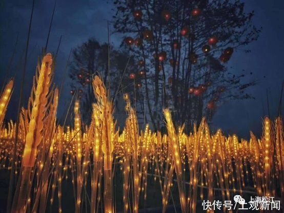 人文|乡村版“迪士尼”落户松江！这个亲子乐园你期待了吗？