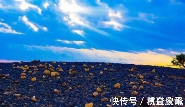 唐诗宋词&内蒙干涸湖底铺满“五彩石”,没人识货被随意捡走,3年亏20亿