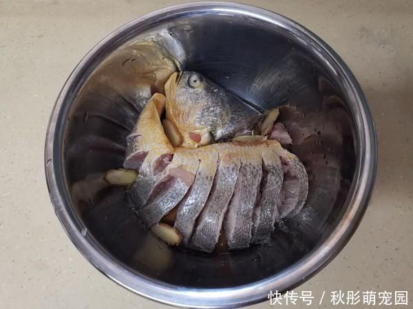 黄花鱼|它是被“误解”最多的鱼,浑身是宝,比甲鱼营养,6元1斤没人吃