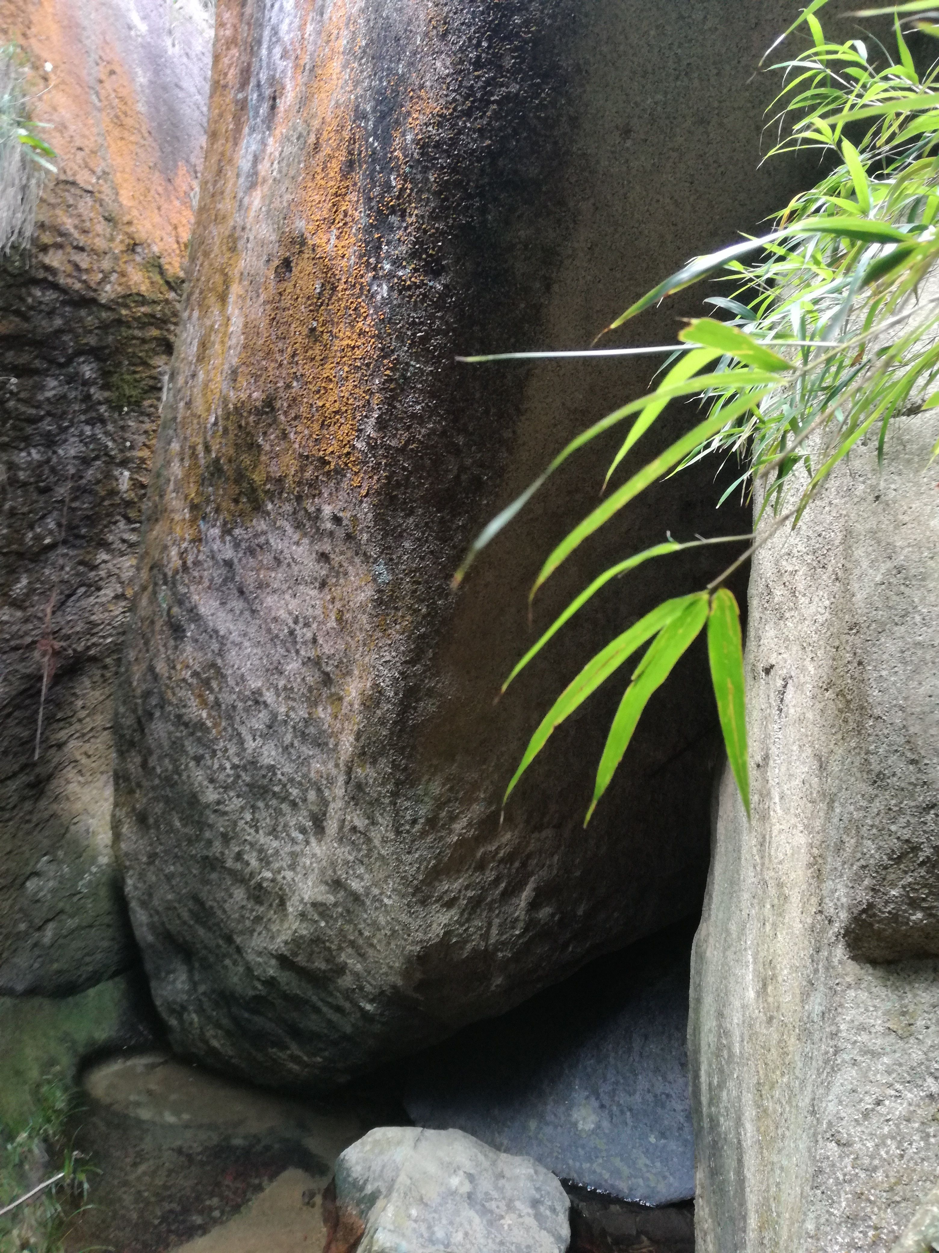 秀美|夜宿马尾君竹山,秀美徒步好去处