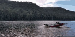 |搞笑GIF：小伙子，这就是嘚瑟的后果，这一下腰估计要废了