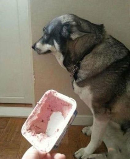 |幽默笑话:上初中的邻桌,学霸兼班花,我一直死皮赖脸的追她