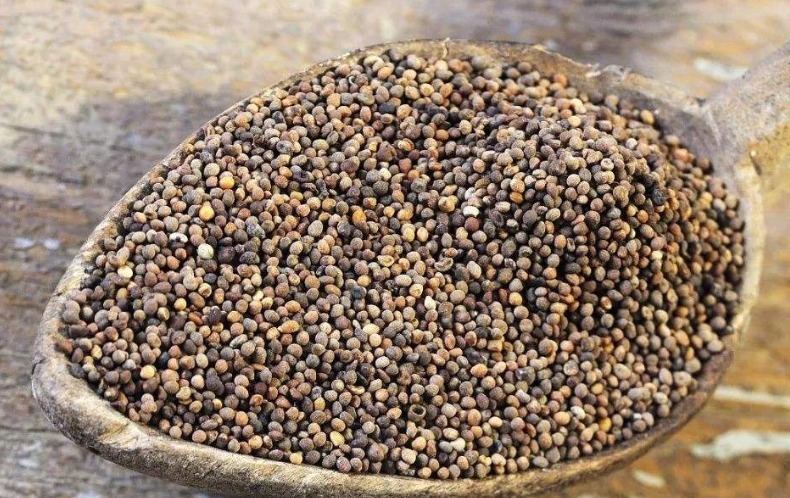 鸡肝|被称为“回春宝”，菟丝子补肾功效高，送你几方壮阳又强身