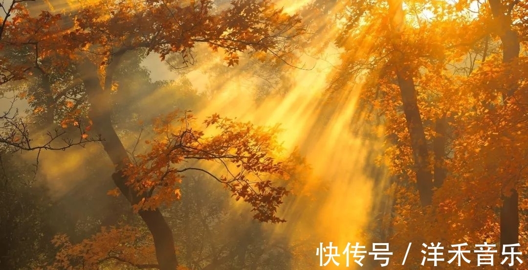 春朝|秋气盈胸志存高,且看秋情不寂寥