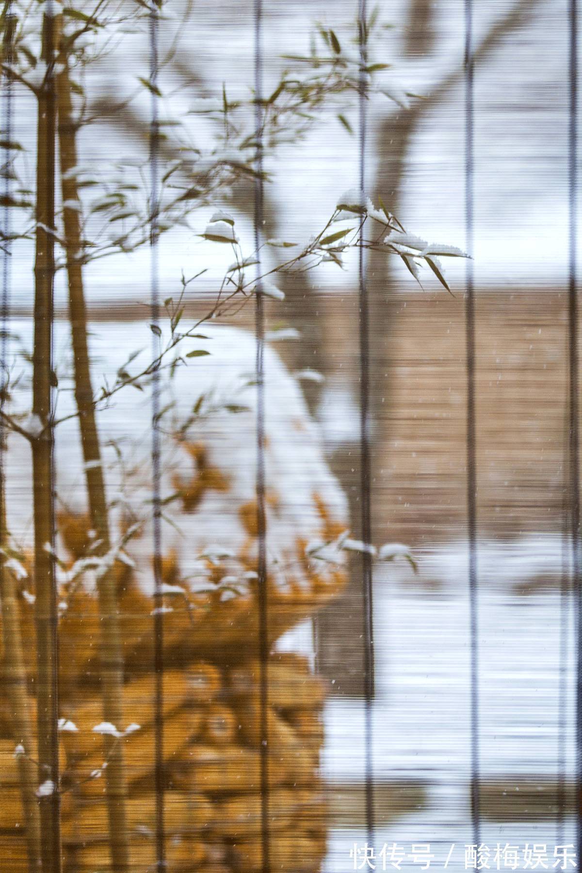 改造|2年砸下50万,他将土房改造成豪宅,见到雪中的庭院,我哭了