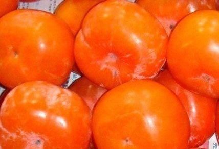 养生必备的好食物，推荐常吃，清热解毒、祛湿排毒、美容散瘀