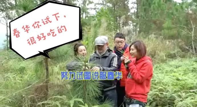 美食｜几位主持人齐齐抬竹子，难道要改行做木工？