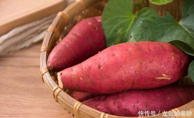 不烂不|保存红薯小技巧,学会1招,红薯放半年不烂不长芽,越放越甜