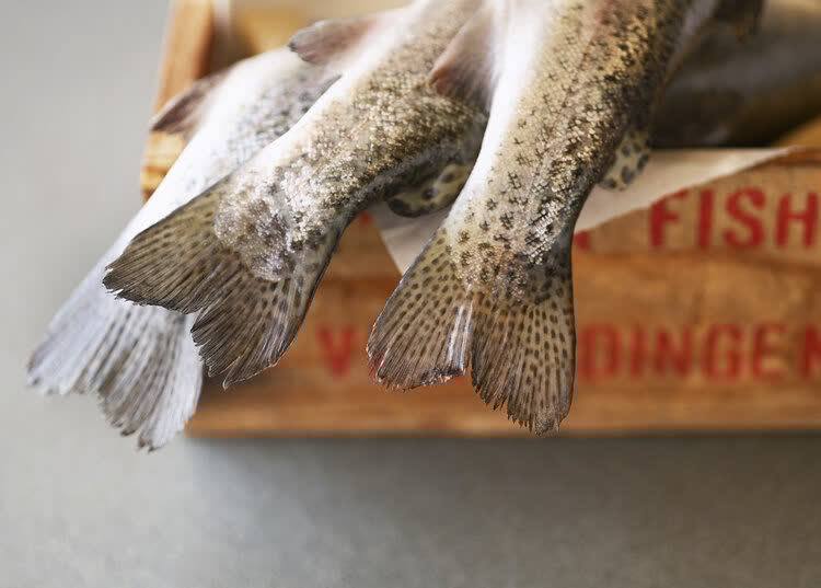 李老头|乔布斯爱吃水果蔬菜，为什么还会得癌症？今天告诉你真相