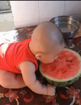 |搞笑GIF:逗什么都行可千万别逗猴子,不然这就是下场