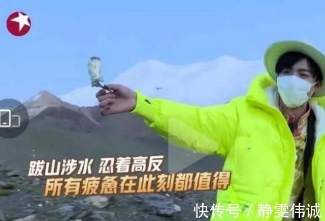 出了事就甩锅嘉宾,难怪从一流节目做成了三流