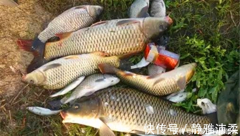 大鱼|钓鱼技巧：浮漂的漂脚和漂尾不同，钓大鱼和钓小鱼时，哪种更好用