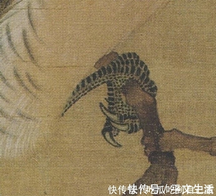 放大20倍$宋徽宗的巅峰之作是什么?《桃鸠图》放大20倍,细节让人陶醉