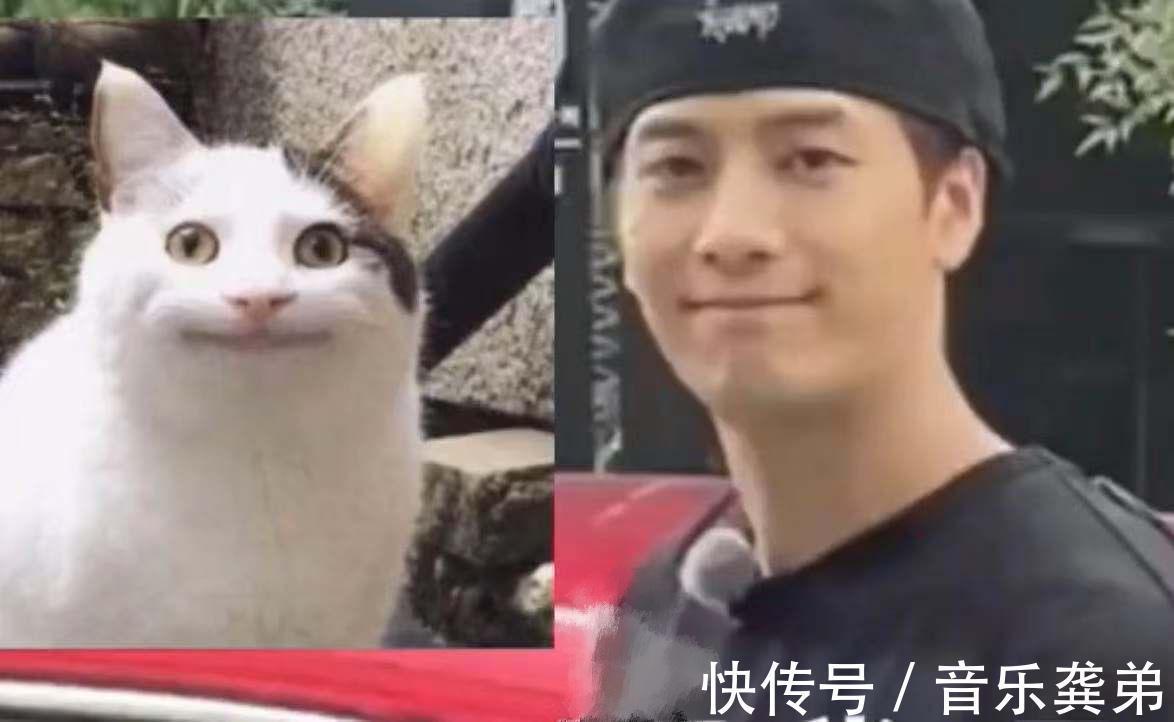 综艺|王嘉尔录制综艺发现路人拍摄,镜头切换到自己后,反应神似表情包