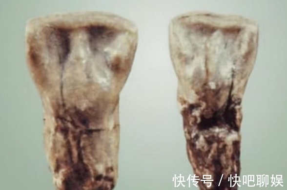 炎黄子孙|独属于炎黄子孙的3大特殊印记,若你有,说明你是纯正华夏后裔