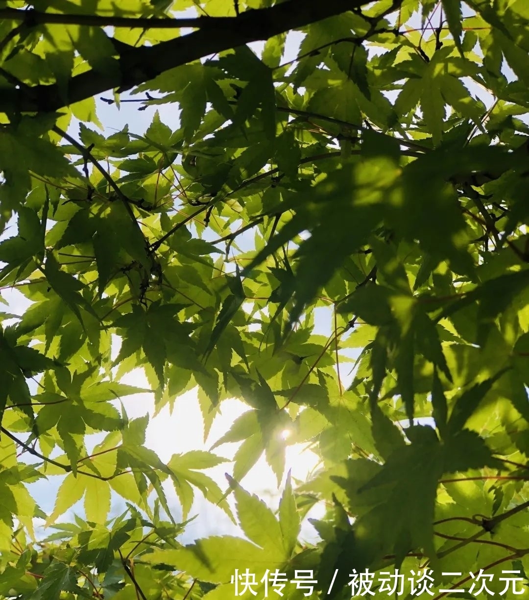 郑州电专|郑州电专“练习生”正式出道!