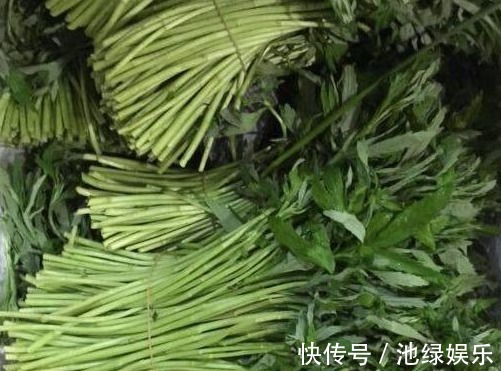 蚕豆|常吃以下五种蔬菜,能降血脂、降血压、增强肌体免疫力