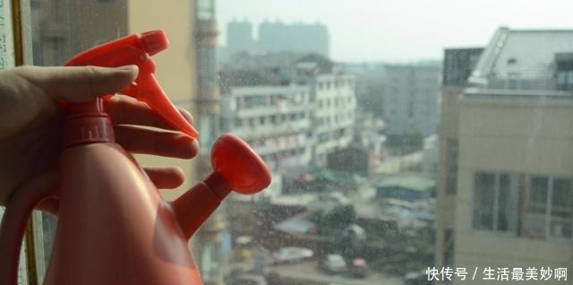 擦玻璃别用水了，教你用一秘招，擦完的玻璃光亮如新，方法太棒了！