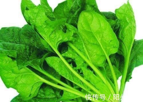 肚子|女性不想肚子鼓鼓,推荐常食以下食物,清热排毒,减肥瘦身