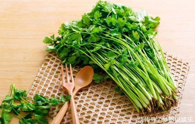 阳气|中医认为阳气不足百病生,常吃这4种食物,阳气或能慢慢补回来