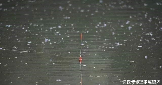 漂相|不知道用七星漂还是立漂,看完这篇就知道了