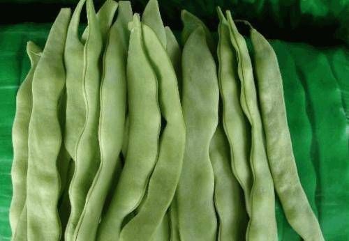 牛奶|这菜一年到头都很贵，但是补钙比牛奶还强，再贵也值得！