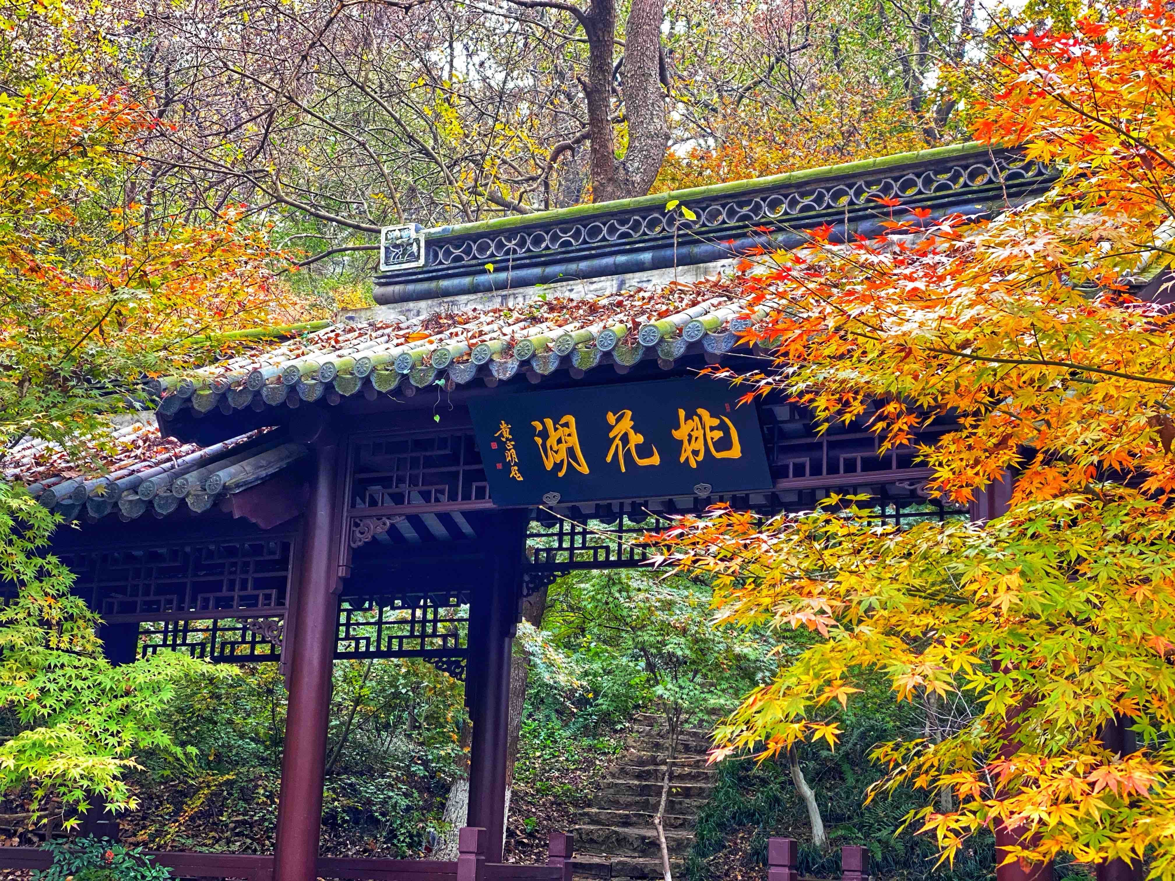 到栖霞山赏|初冬的南京栖霞山，来一场色彩斑斓的旅行