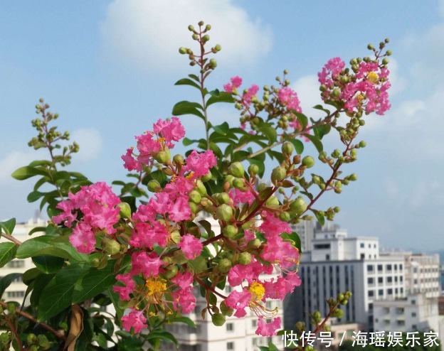 你喜欢什么花,就是什么性格的人,都进来看看吧!