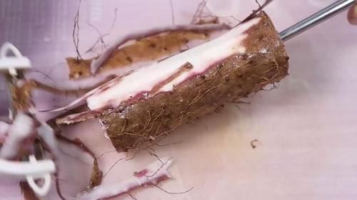 早餐別喝粥了,一口開胃,兩口助長個,10分鐘做一鍋,寶寶超愛吃