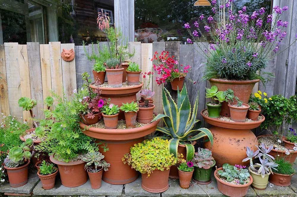  看完这个，想把家里花盆丢了