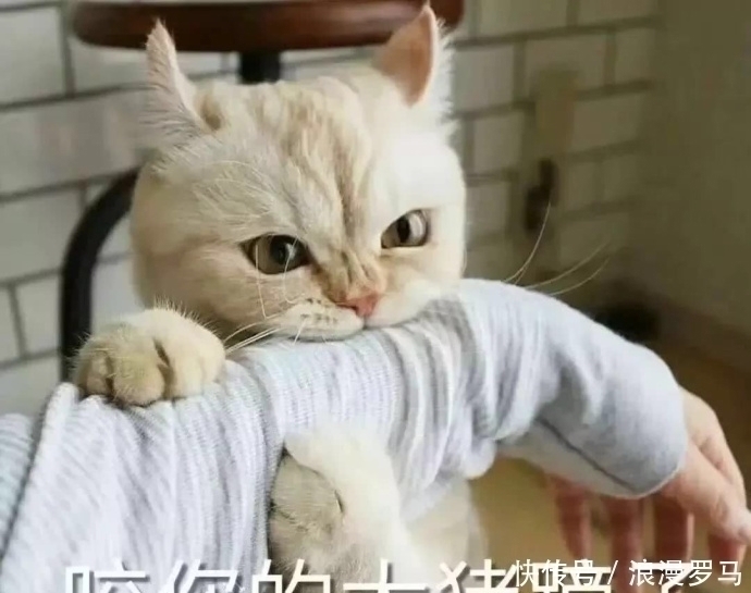 |十条笑话:你虽然被嫂子打了,但也没必要离婚啊