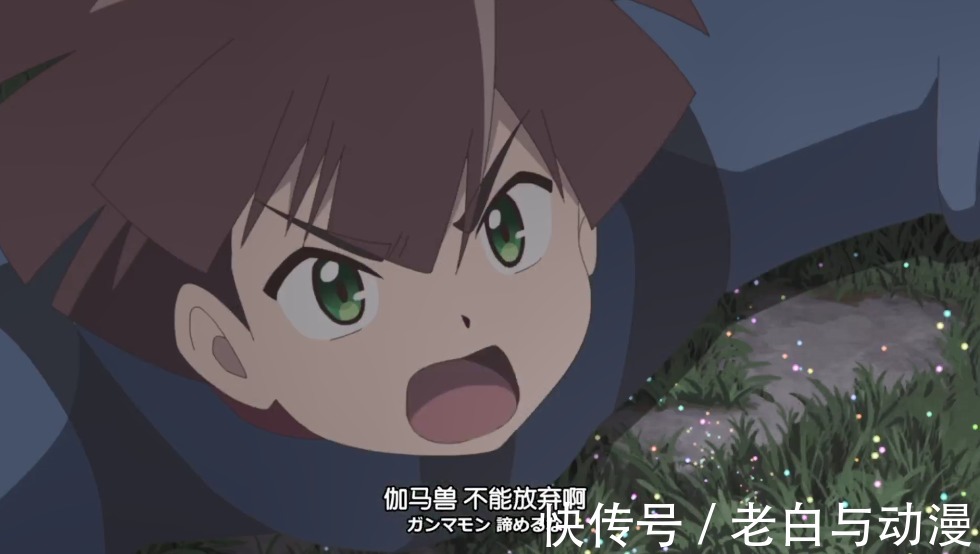 安哥拉|数码宝贝鬼游:伽马兽VS八咫乌兽,获得第二种成熟期