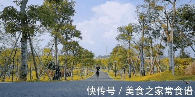 运动 这一双全能跑鞋真心不错！