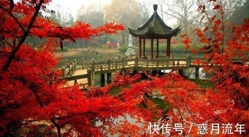 诗居雅韵&七言绝句《诗居雅韵》,生活没有诗,就像做菜没放盐一样,无味