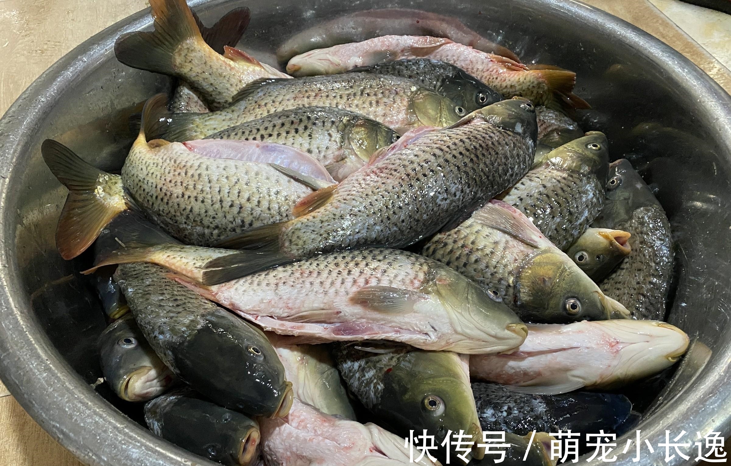不管解冻什么鱼，直接用水泡就错了，教你2招，鱼解冻快还新鲜