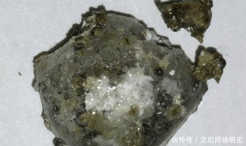 舍利子|舍利子是什么?高僧火化的时候才有,普通人为何没有呢?