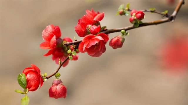 白头|7月底，告别过去，牵手新欢，交换真心，许你温柔，一世共白头