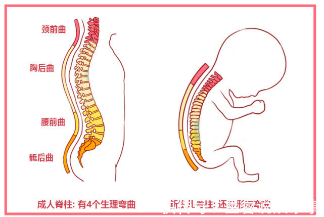 动作|几个易损伤宝宝脊柱的动作,家长常做却对娃伤害很大,附正确做法