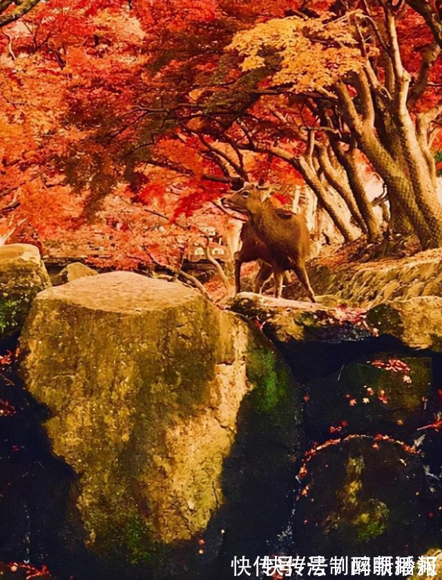 释文珦#诗僧笔下的秋天,不仅有最美的秋色,还有浓浓禅意,令人回味无穷