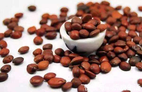 酸枣仁|睡不着、睡不好试试这碗安神汤,让你沾床就睡!