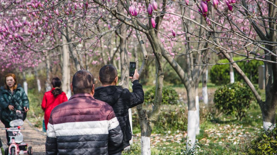 不负春光不负美，骑行、赏花约起来！（一大波美图来袭）