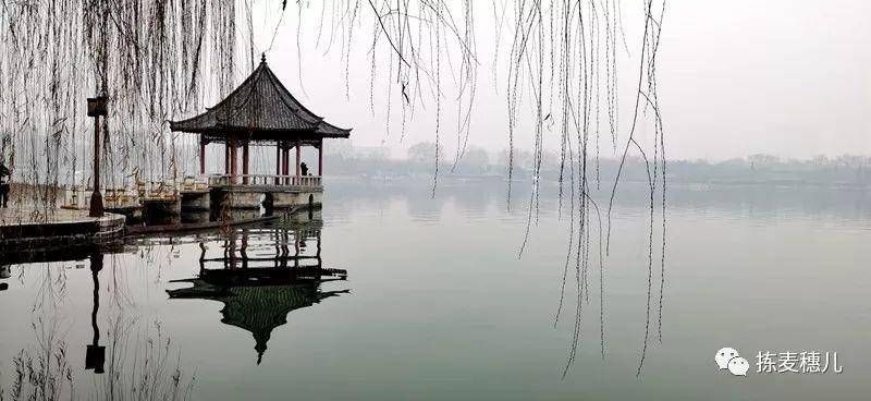 大牌坊|济南故事｜跟我从芙蓉街到大明湖，一起感受济南古城风韵吧