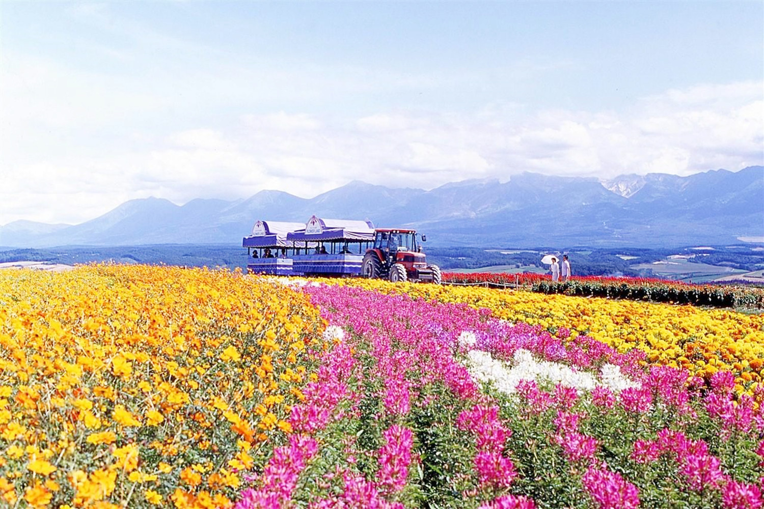 去北海道游玩该怎么规划？这有三条旅游路线推荐，建议收藏打卡