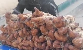 大叔起早贪黑卖“它”,20元一只,半天卖不出,内行人直接买五只