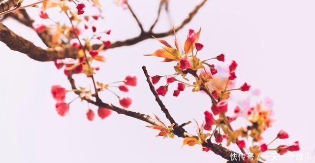 酬张少府|20首传诵千古的诗词,全是顶级名篇,每一首都值得背下来