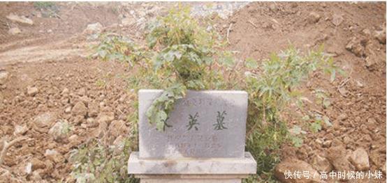 郭子兴|朱元璋见到一乞丐, 流泪道 孩子, 改名跟我姓吧!