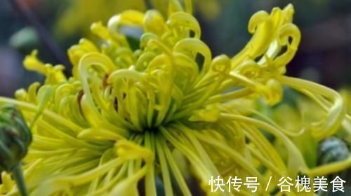 宗医师|聪明女性都在吃3种食物,排毒养颜,延缓衰老,早吃早健康!