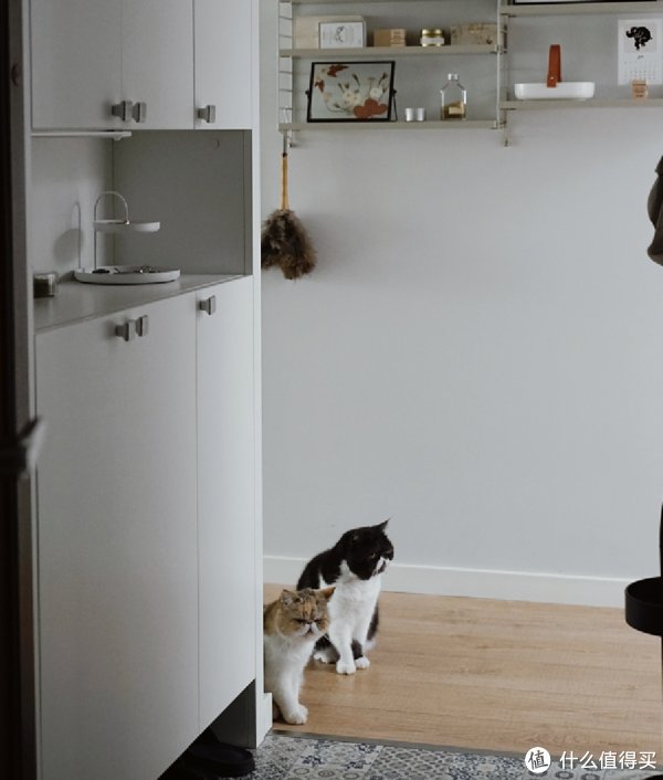 干净|房子住了3年,80后阿姨的家“干净如初”,参观她家,我也学会了