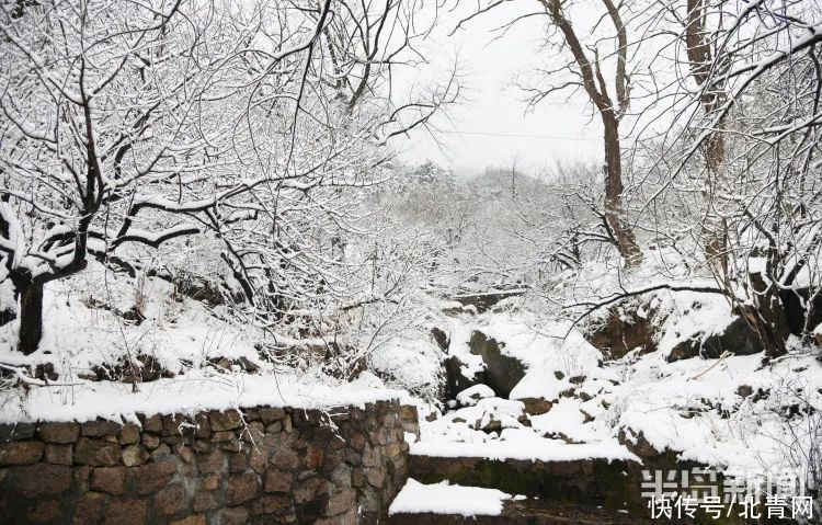 肖枫|你那里是下雨还是下雪？今天，同在青岛，却仿佛不在一个季节...