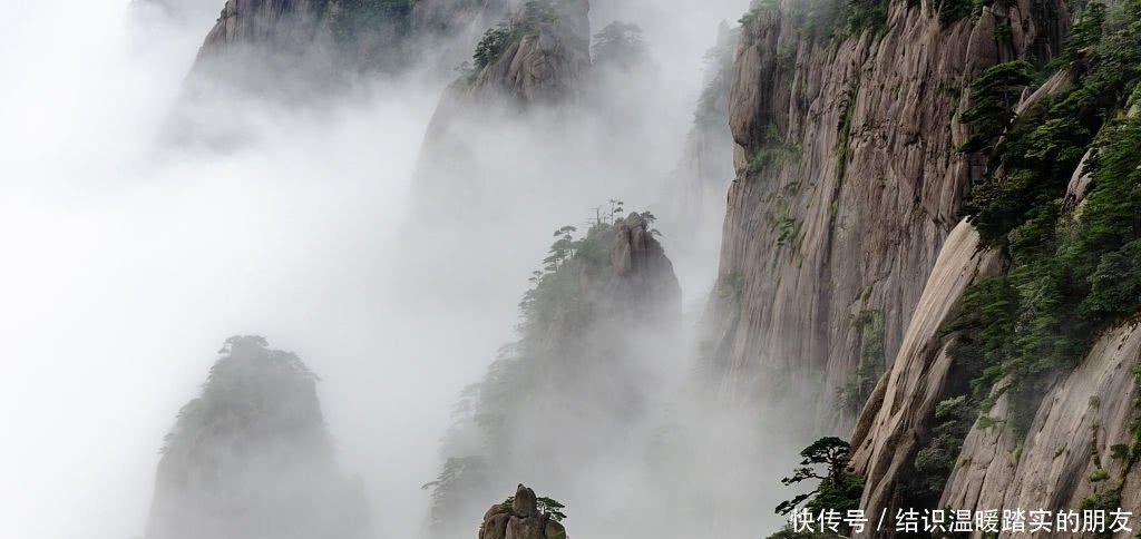 老年|云海、青松、奇峰 古典水墨画般的人间仙境